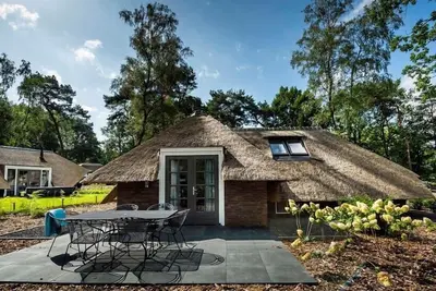 Sprielderbosch 21 luxury holiday villa in forest near Putten