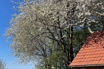 Image de Luxury in the countryside (4p) in private accommodation