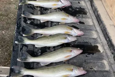 Image de Ne South Dakota Sportsmen Paradise