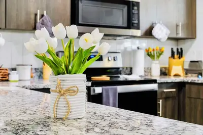 Image de Spacious 4br Retreat in Tampa Family & Pet-Friendly