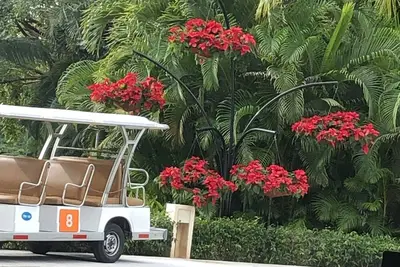 Image de Amazing! ! ! One bedroom, 1 and 1/2 baths, large living room, full kitchen.