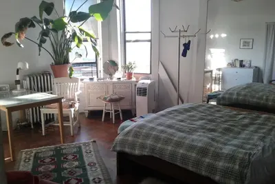 Image de Bright and Beautiful Old Style Brooklyn Apartment with cat