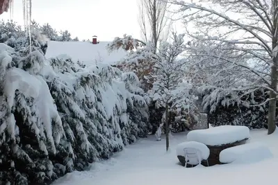 Image de Maison-Cottage-Sdb privée avec baignoire-Vue sur Montagne-Casa Brincalobitos