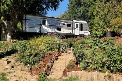 Image de Cozy Retreat at Mt St Helens