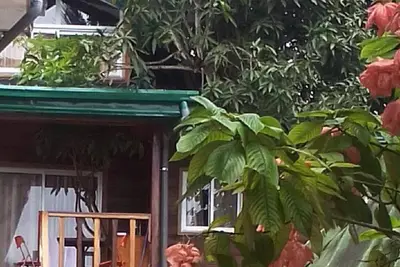 Image de Hut in the old Mangoo tree. Breakfast incl