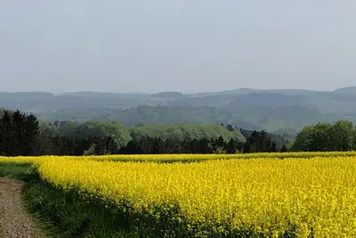 Image de Artfully furnished vacation home with wellness area