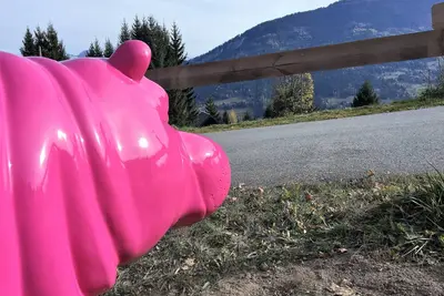 Image de Chalet entièrement rénové au pieds des  pistes du grand domaine de Valmorel