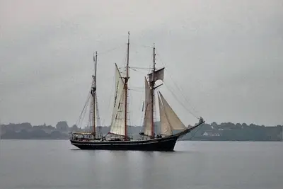 Image de Fully rented accommodation with Christina as host