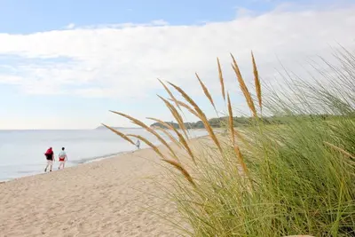 Image de Vacation apartment with private sauna and terrace - Haus Inselwind FeWo MEERfamilie -