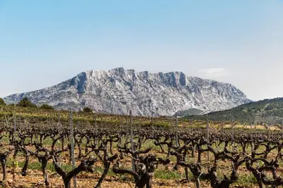 Image de Gîte au milieu des Vignes - Syrah