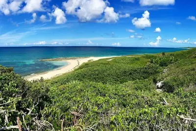 Image de The Surf Cottage - Beach and Jungle all in One!