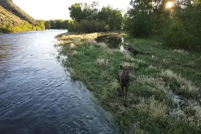 Image de Big Hole Riverfront Retreat – A Secluded Fishing Paradise with 4 Cabins