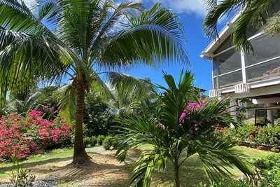 Image de Beautiful pool and renovated casa and only 3 minute walk to West Bay Beach.