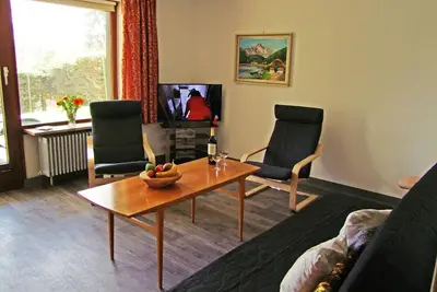 Image de Vacation apartment/apartment for 4 guests with 46m² in Feldberg (Black Forest) (162880)