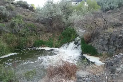 Image de Snake R. Canyon/Creekside Retreat. Near 1000 Springs/Hot Springs/Balanced Rock