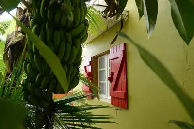 Image de Tite case créole de charme, en plein centre-ville de Saint-Pierre