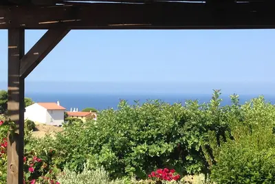 Image de House in the vineyard with sea view (2)