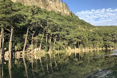 Image de Zubers - Ca -A Cabin A