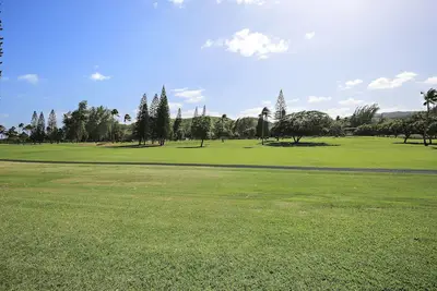 Image de Turtle Bay Protea by RedAwning