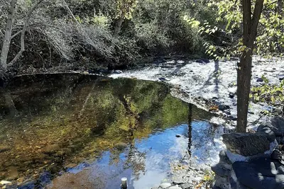 Image de Welcome to the Creekside, our newly built cabin on White Bird Creek
