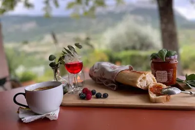 Image de Panorama d'exception, piscine, terrain de pétanque, 220 m2 à 3 min de Buis!