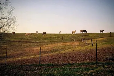 Image de The Bunkhouse @Dragonfly Ranch is made to make you feel like home away from home