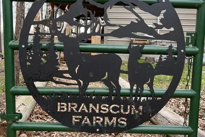 Image de 2 bedroom 1 bath cabin with privacy, 1 mile from main highway