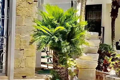 Image de Wendy House