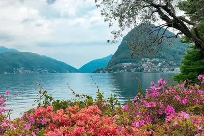 Image de Miricappart