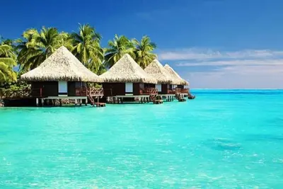 Image de Waldorf! ! Stay in style! Relax in style! Enjoy More!