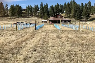 Image de Discover this Gorgeous Cottage Situated Along the Tobacco River!