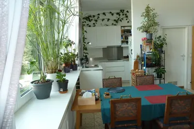 Image de Spacious, bright and comfortable apartment - located in the forest in the valley