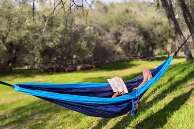 Image de Pet Friendly Yosemite Deer Cottage - 2. 7 Acres/Bbq/Cozy