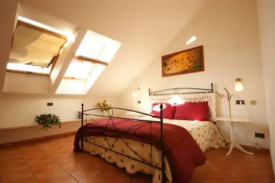 Image de Mimosa Symphony