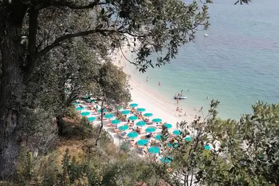 Image de The house of the Sirolo gecko