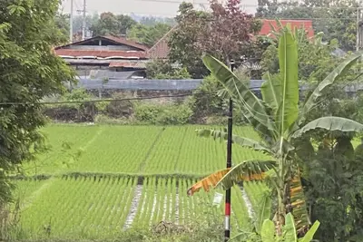 Image de Penthouse Oasis In Rice Field Of Yogakarta