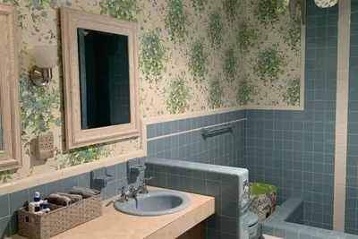 Image de Entire Guest House Sleep 3-6 Near Mtsu 3 bedrooms and 1 bath W 2 queen 1 king