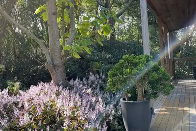 Image de Tindoona Cottages