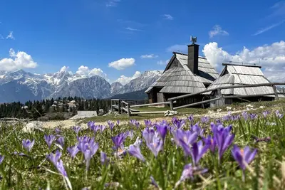 Image de Chalet Kočna in the heart of Velika planina