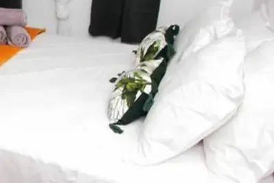 Image de Grand Appartement Tout Confort de Vacances