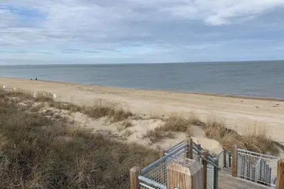Image de Pink Flamingo at the Beach