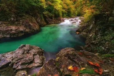 Image de Monroe! Spacious pad, Treehouse Vineyards, Fun, Relax!