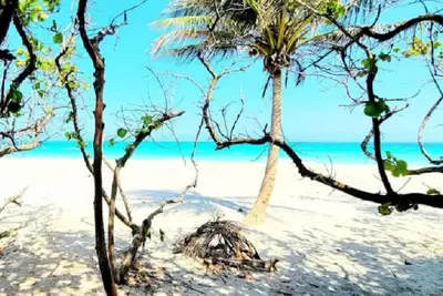 Image de Poshpadz Villa Del Sol Walk to Jupiter Beach