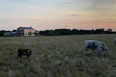 Image de Up-island vibe, down-island conveniences.