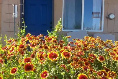 Image de Wild Creek BnB, \" Cottage \"