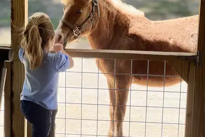 Image de Ranch Lodge - A Texas Ranch Getaway