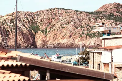 Image de Sweet Home Mare \"Li Junchi\"