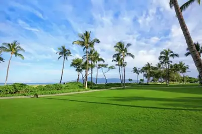 Image de Gorgeous Oceanview Westin Ka'anapali 1 Br Villa