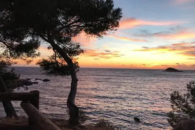 Image de Joli T2 face à la mer, à 50 m de la plage, avec jardinet!