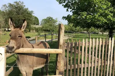 Image de Gite Brise de Lin - Le Clos Mahiel campagne Normandie Etretat Honfleur mer calme